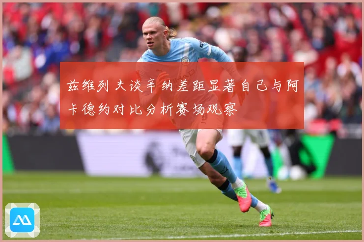 兹维列夫谈辛纳差距显著自己与阿卡德约对比分析赛场观察